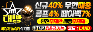 대빵 사이드배너