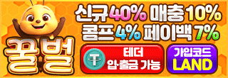 꿀벌 사이드 