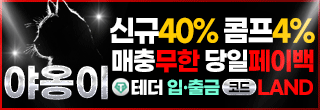 야옹이 사이드