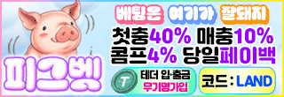 피그벳 사이드
